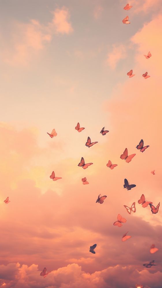 Butterflies flying through a pink sky backgrounds outdoors nature.
