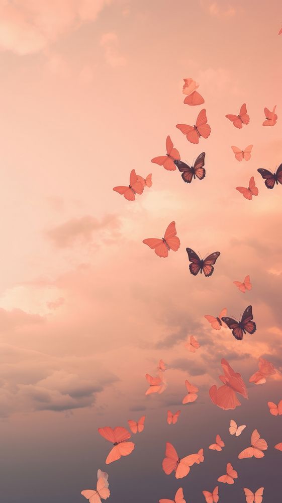 Butterflies flying through a pink sky butterfly outdoors nature.