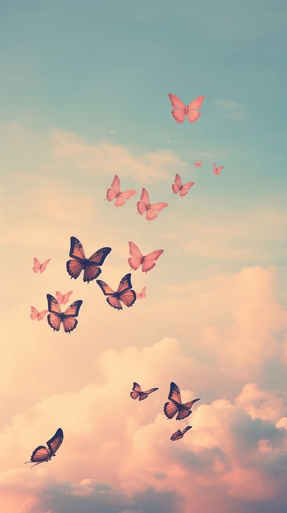 Butterflies flying through a sunset sky outdoors animal nature.