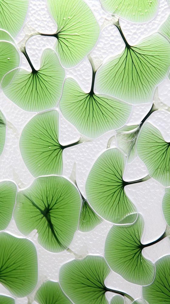 Pattern glass fusing art backgrounds plant petal.