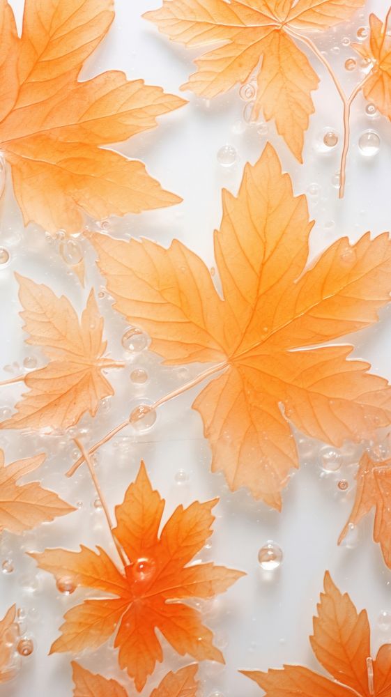 Pattern glass fusing art backgrounds leaves maple.