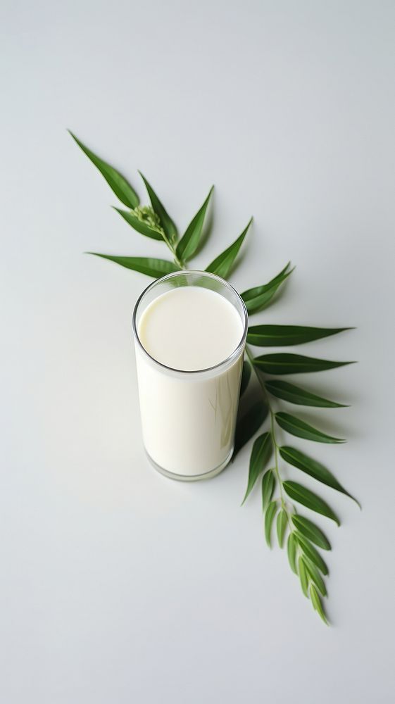Milks dairy plant leaf.