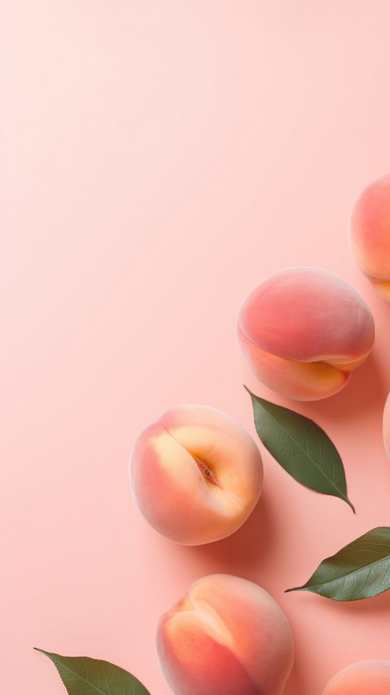 Peachs plant freshness apricot.