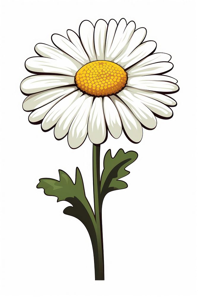 Daisy Clip art cartoon flower plant.