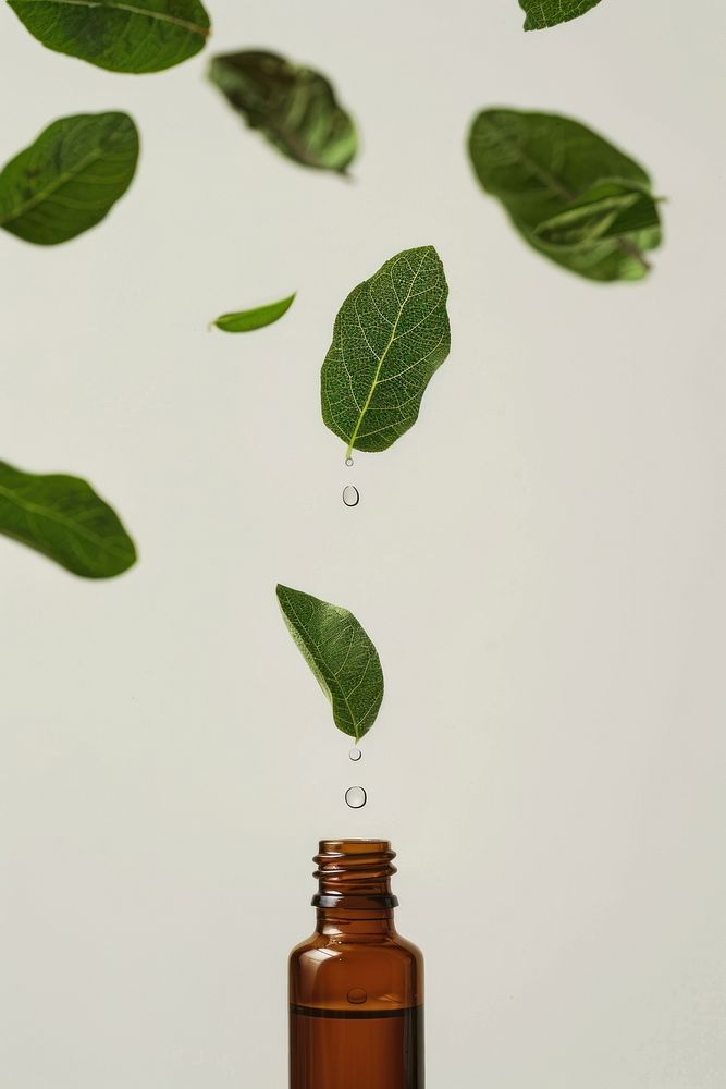 Essential oils leaf bottle plant.