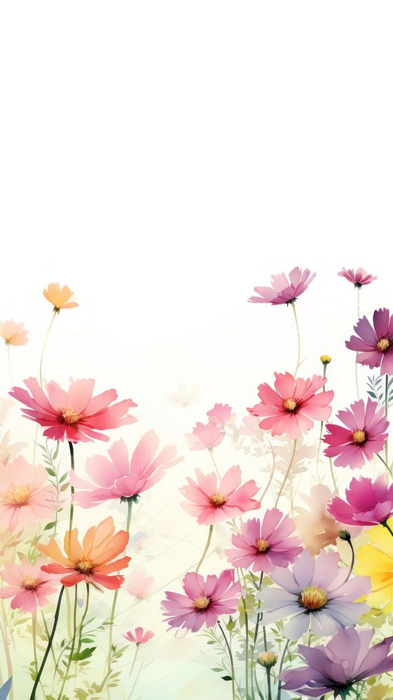 Cosmos flowers border outdoors pattern nature.