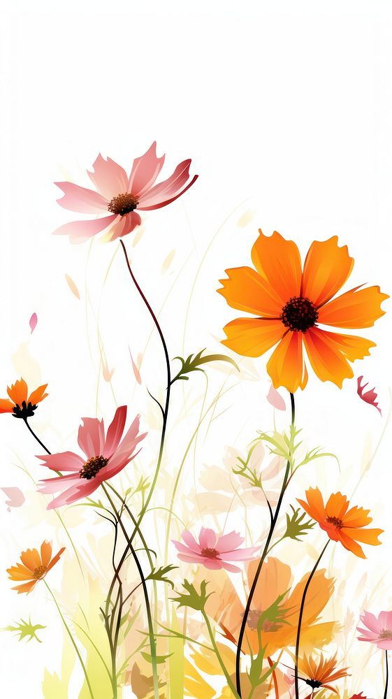 Cosmos flowers border outdoors pattern plant.