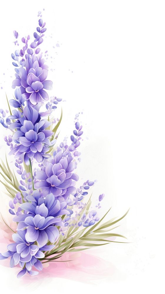 Lavender flower blossom pattern purple.