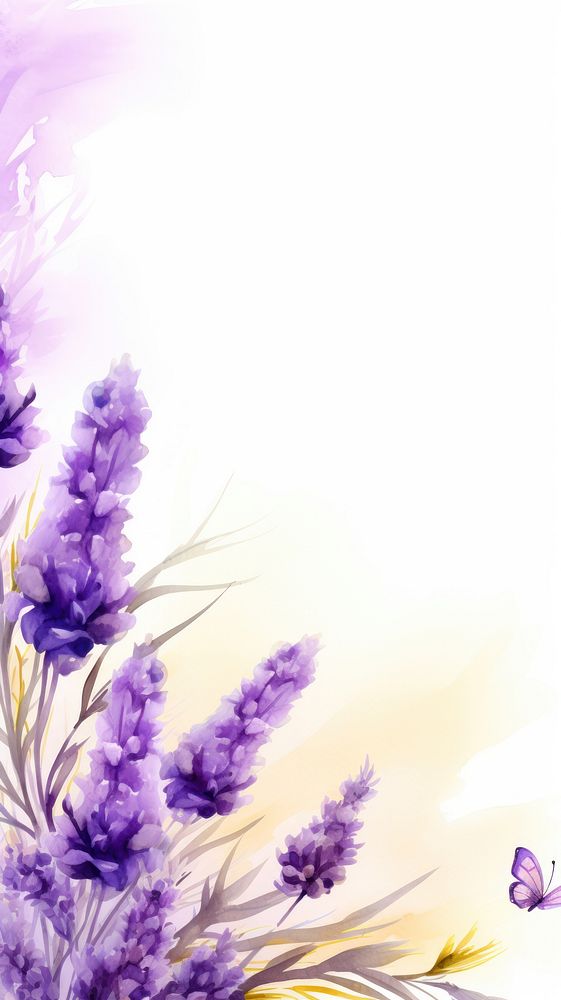 Lavenders border flower purple plant.