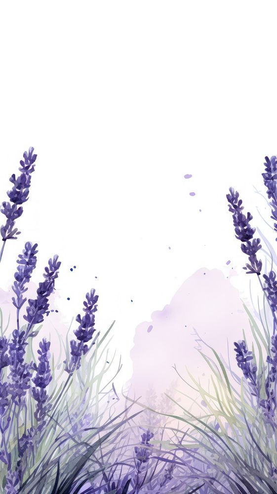Lavenders border flower purple plant.