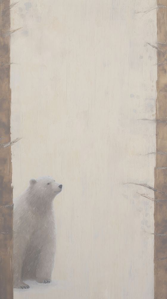 Cute bear wallpaper wildlife animal mammal.