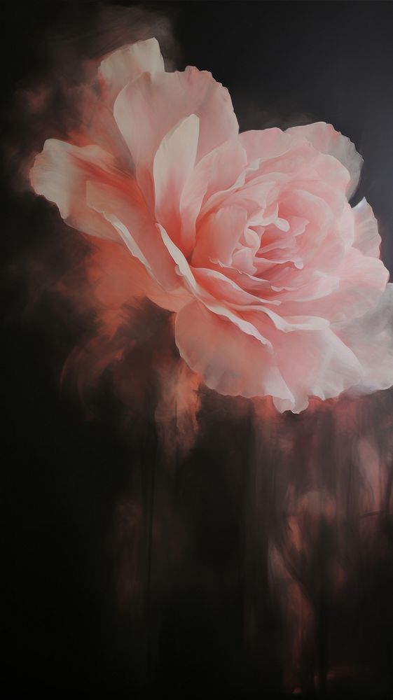 Acrylic paint of rose flower petal plant.