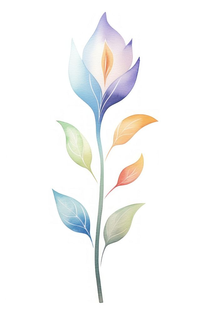 Cute watercolor illustration of a Tailflower pattern plant leaf.