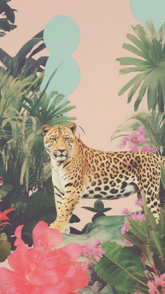 Jungle wildlife outdoors leopard.