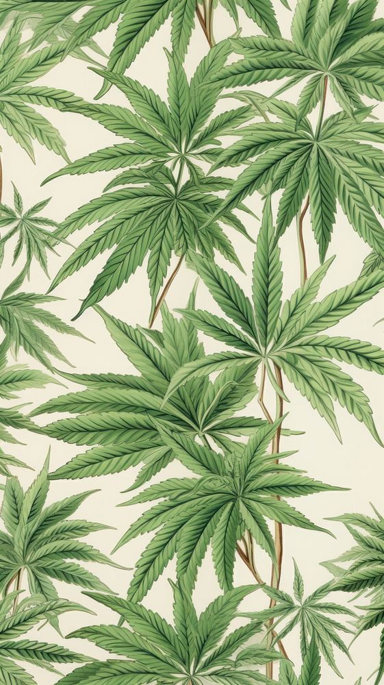 Cannabis buds pattern plant herbs.