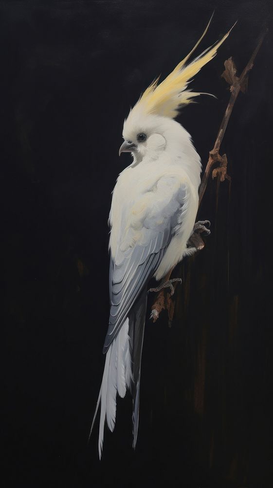 Acrylic paint of cockatiel cockatoo animal parrot.