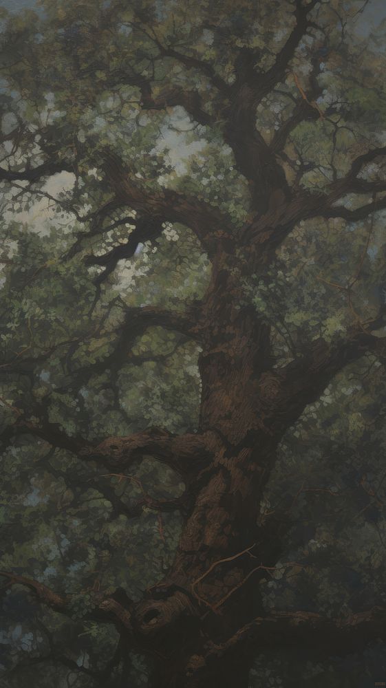 Oak tree backgrounds outdoors painting.