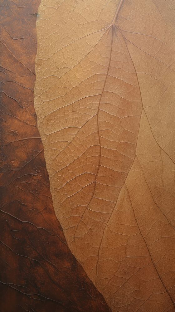 Acrylic paint of leaf texture plant wood.