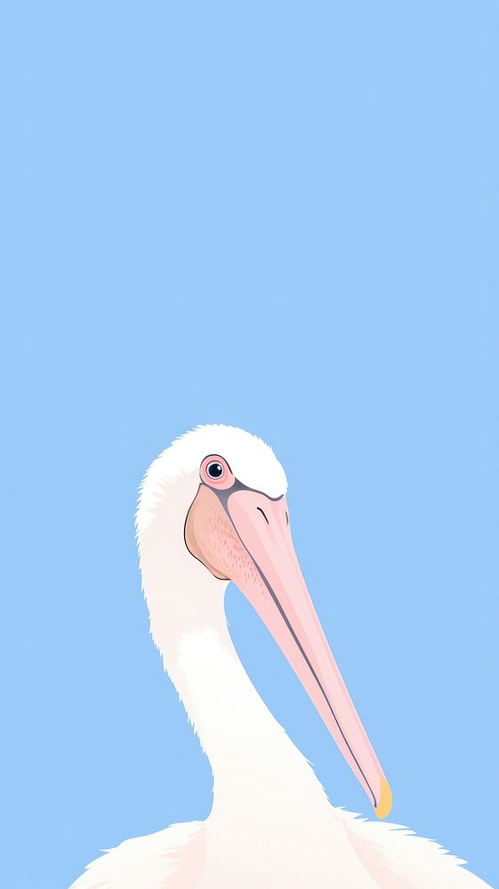 Pelican selfie cute wallpaper animal cartoon bird.