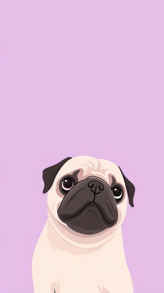 Pug selfie cute wallpaper animal cartoon mammal.