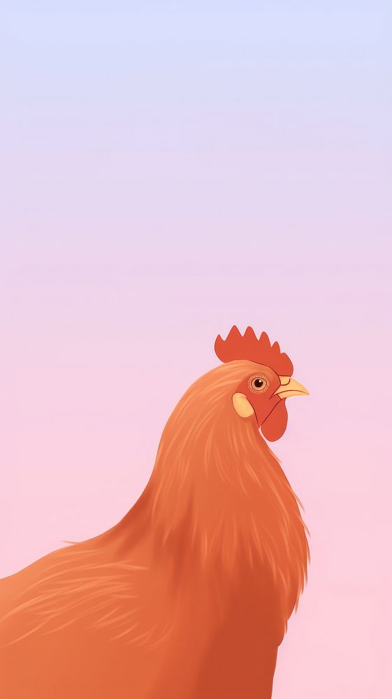 Rooster selfie cute wallpaper animal chicken cartoon.