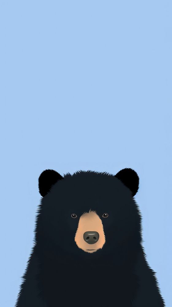 Bear selfie cute wallpaper animal cartoon mammal.