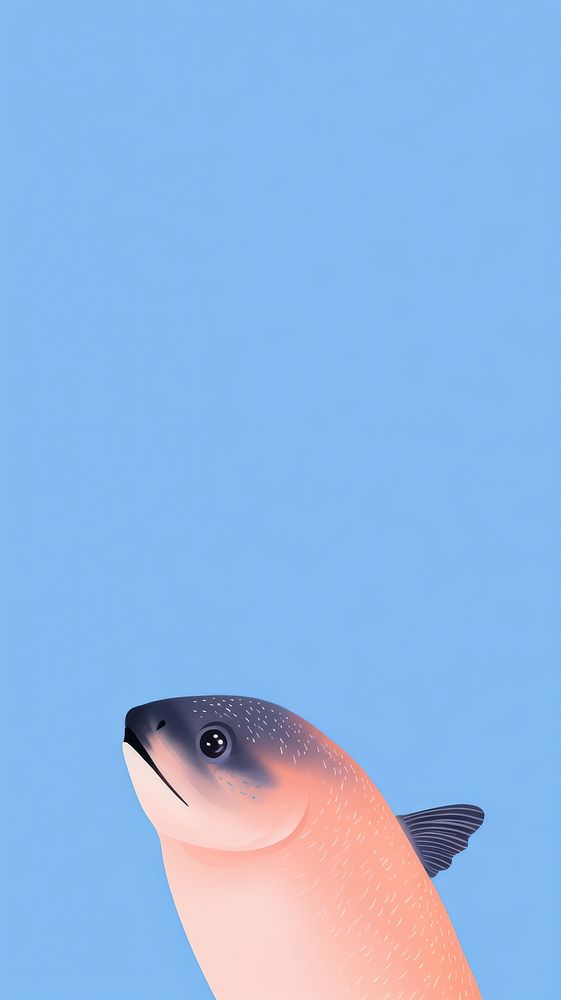 Salmon selfie cute wallpaper animal cartoon fish.