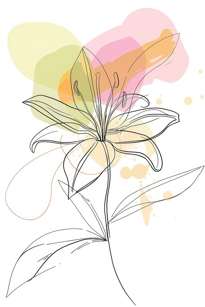 Single line drawing lily pattern sketch art.