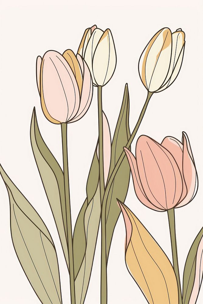 Single line drawing tulip flowers sketch plant art.