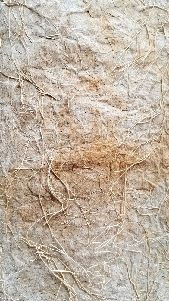 Paper mulberry sheet backgrounds textured rough.
