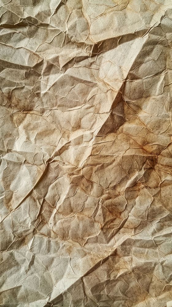 Paper mulberry sheet backgrounds textured rough.