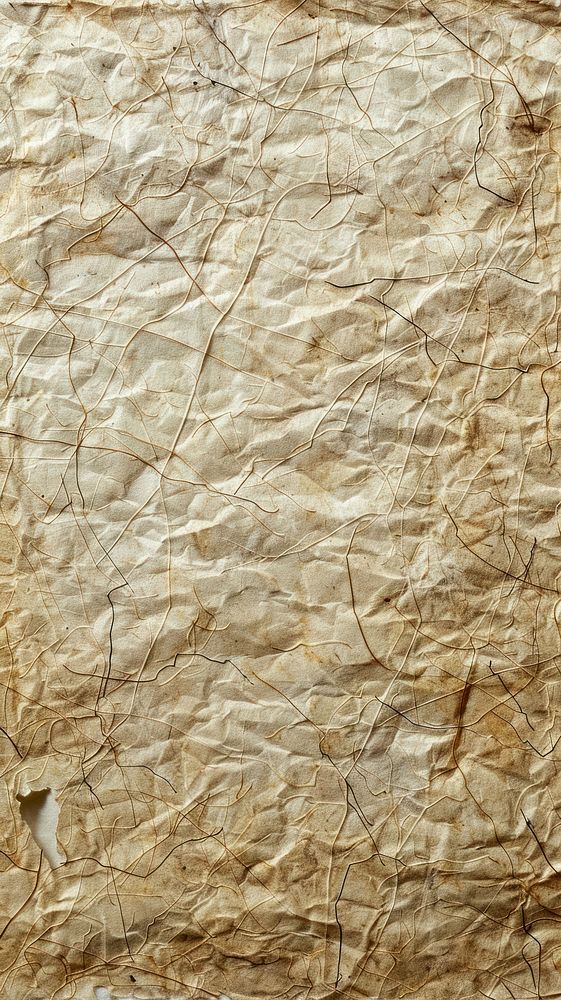 Mulberry paper backgrounds textured rough.