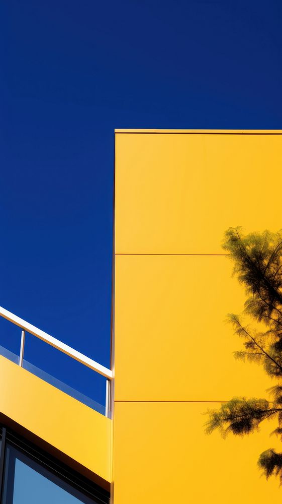 High contrast office building outdoors yellow plant.