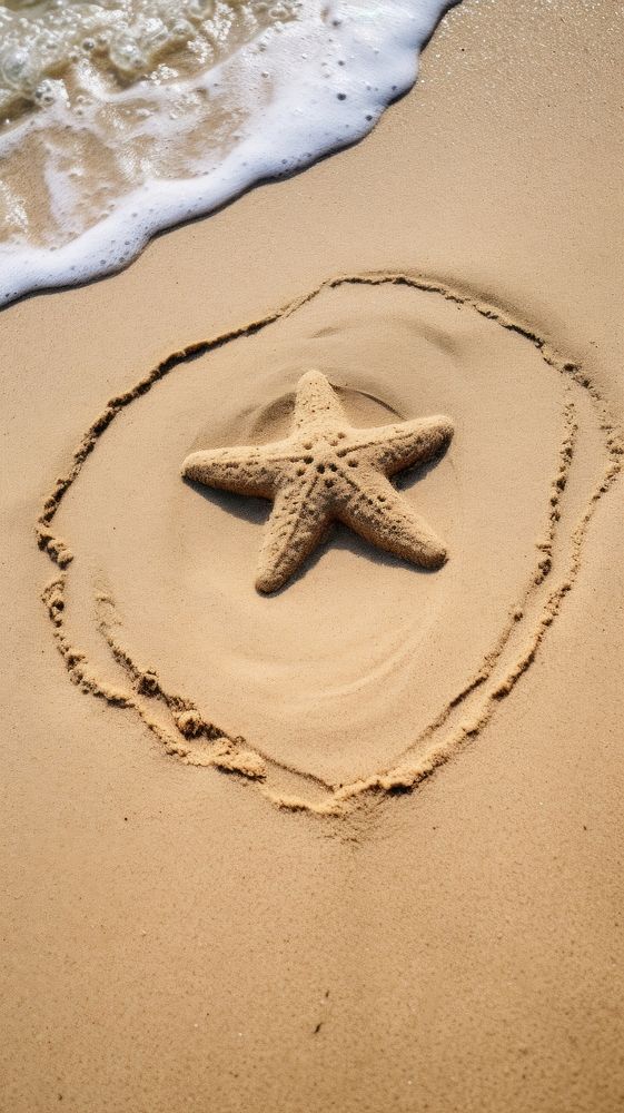 Star shape doodle finger-drawing outdoors nature sand.