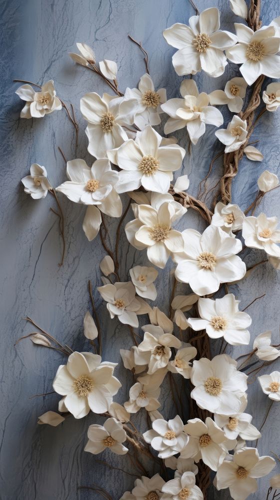 White mulberry paper flowers textured blossom plant petal.