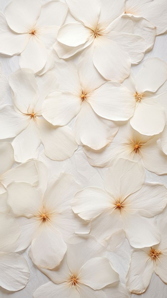 White mulberry paper textured flower petal backgrounds.