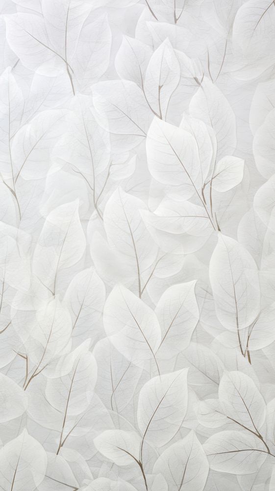 White mulberry paper textured backgrounds plant fragility.