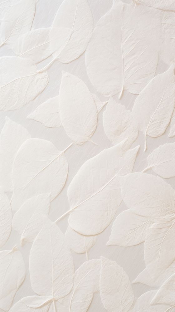 Mulberry paper with petals white backgrounds textured.