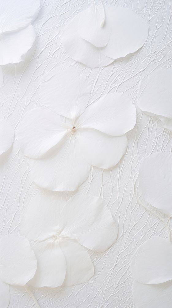 Fiber textured petal white backgrounds.