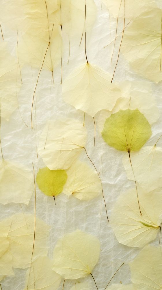 Filaments textured petal backgrounds yellow.