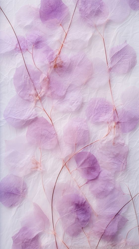 Fibers textured petal backgrounds flower.
