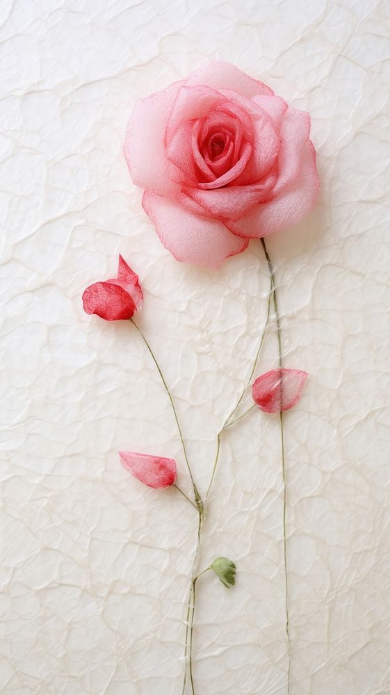 Pale pink mulberry paper petal rose flower.