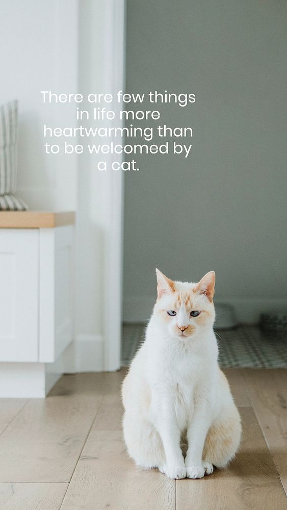 Pet  quote Instagram story template