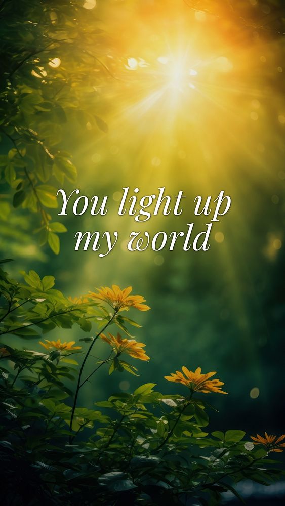 You light up my world quote Instagram story template