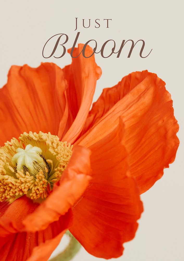 Bloom, positivity quote poster 