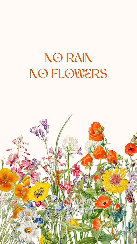 No rain no flowers quote Facebook story