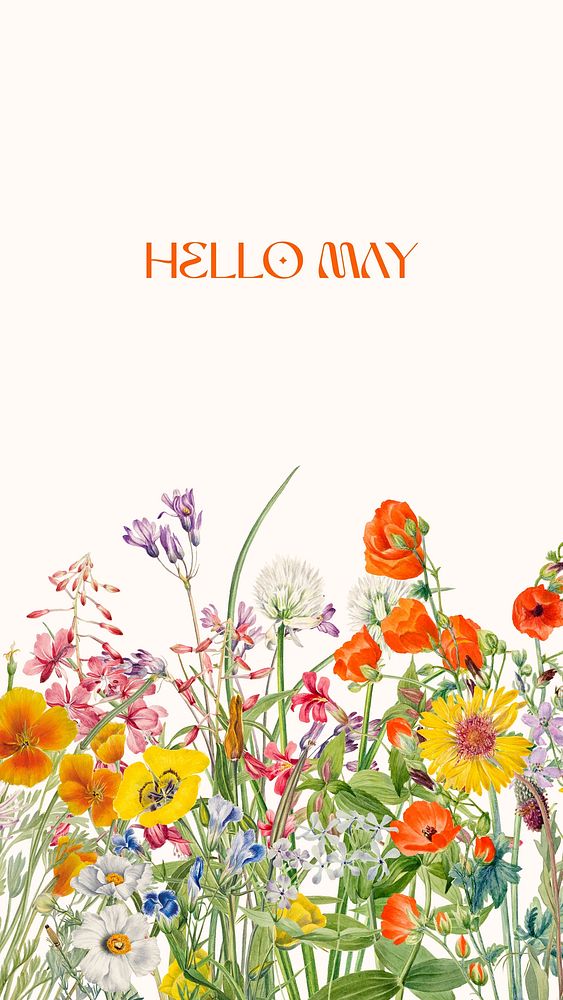 Hello May quote Facebook story