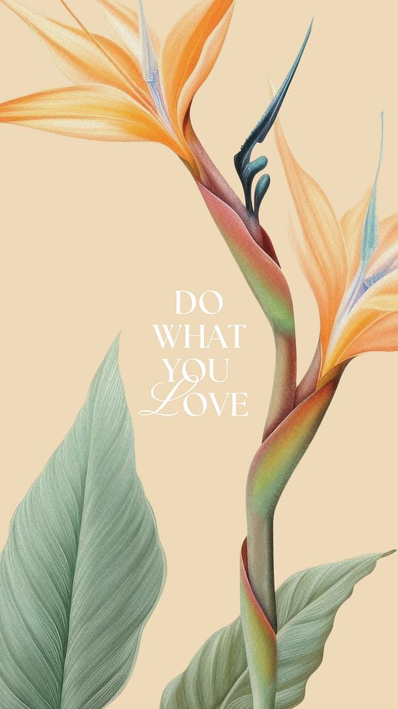 Do what you love quote Facebook story template