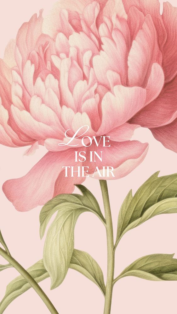 Love is in the air quote Facebook story template
