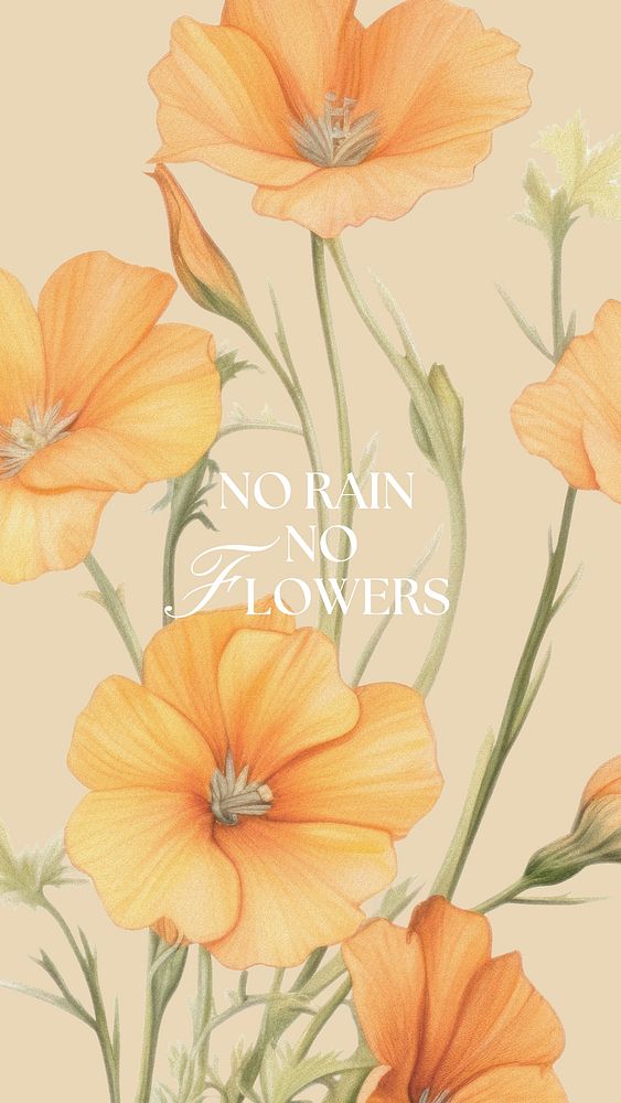 No rain no flowers quote Facebook story template